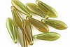 1 Strand (50pc) 5X16mm HURRICANE GLASS BRACKEN FERN GREEN DAGGER CZECH GLASS BEADS CZ128-10